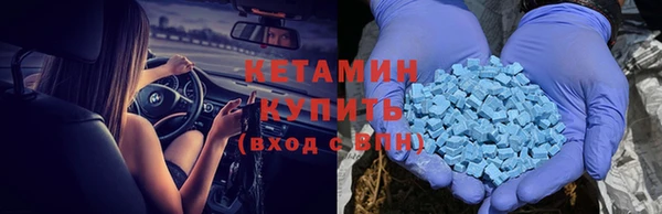 сатива Абаза