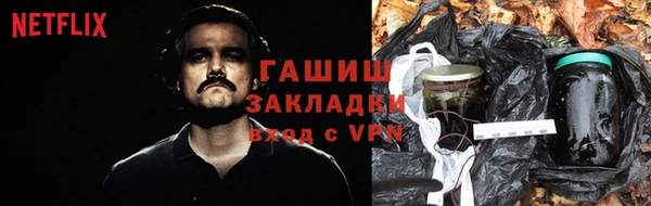 сатива Абаза