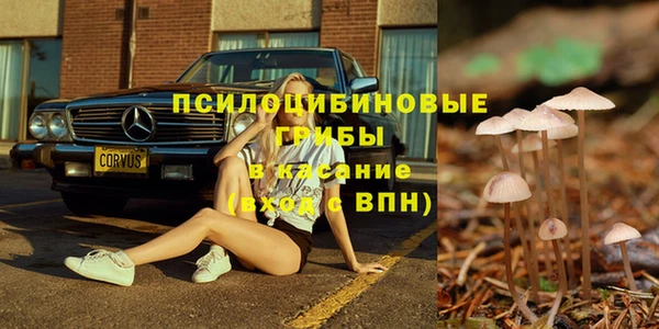 сатива Абаза